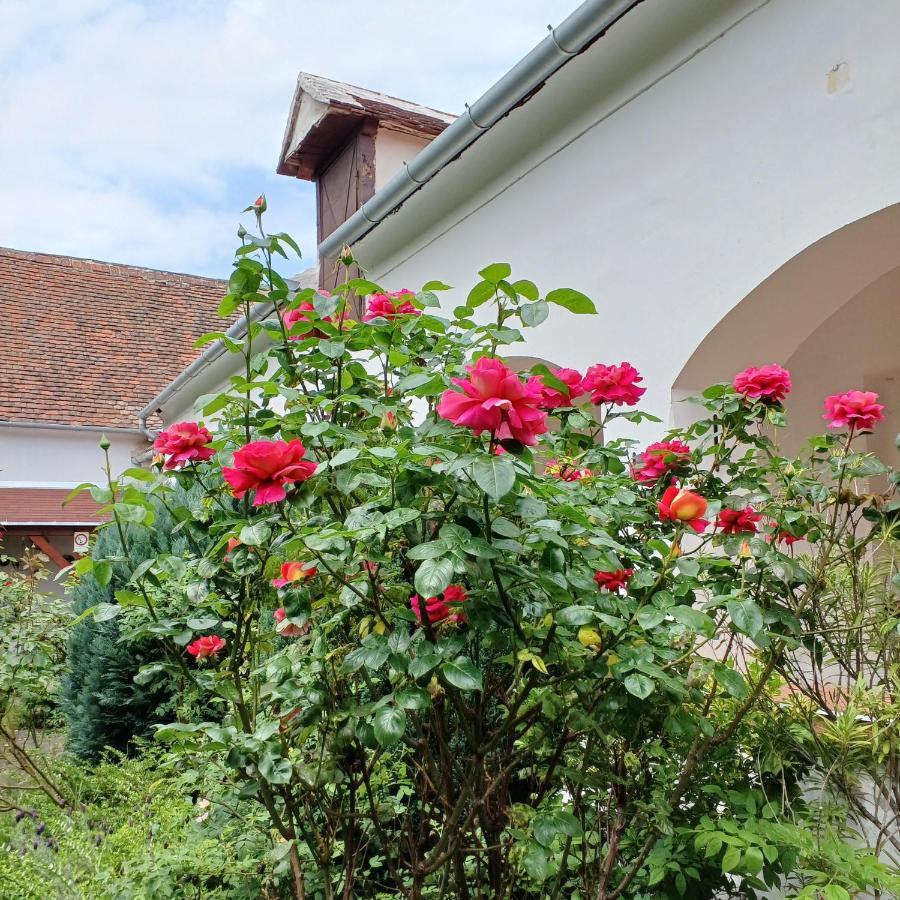 Blues Ryokan Kőszeg Zewnętrze zdjęcie