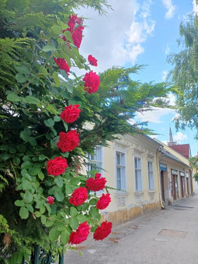 Blues Ryokan Kőszeg Zewnętrze zdjęcie