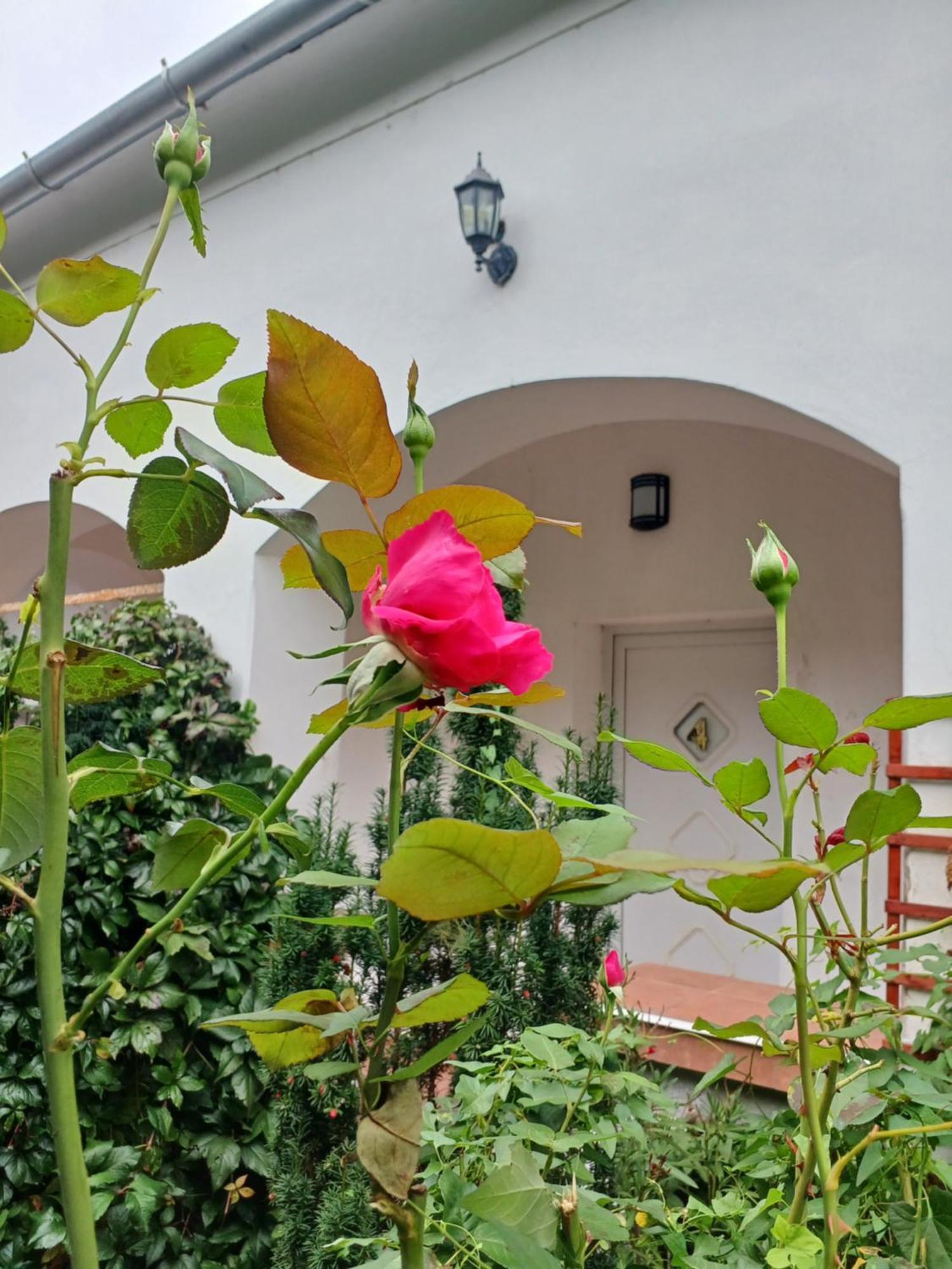 Blues Ryokan Kőszeg Zewnętrze zdjęcie